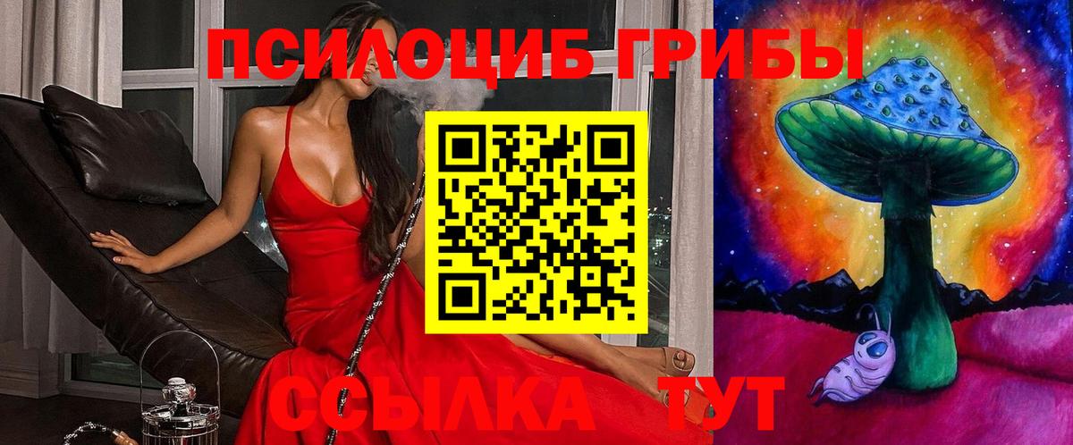 Кудрово  Галлюциногенные грибы Magic Shrooms  Вход с VPN 